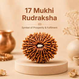 17 Mukhi Rudraksha Savar (Nepali)