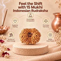 15 Mukhi Rudraksha (Indonesian)