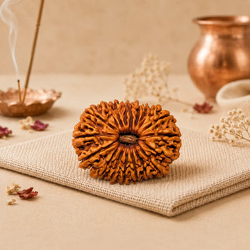 18 Mukhi Rudraksha