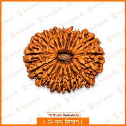 18 Mukhi Rudraksha (Nepali)