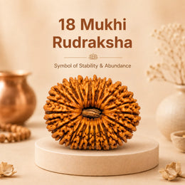 18 Mukhi Rudraksha (Nepali)