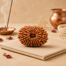 19 Mukhi Rudraksha Savar (Nepali)