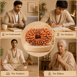 19 Mukhi Rudraksha Savar (Nepali)