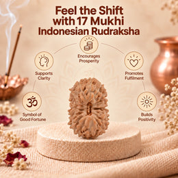 17 Mukhi Rudraksha (Indonesian)