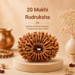 20 Mukhi Rudraksha (Nepali)