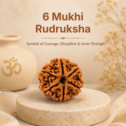 6 Mukhi Rudraksha (Nepali)