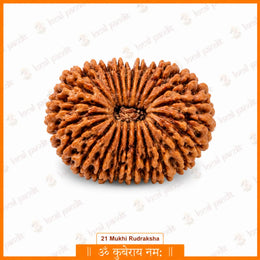 21 Mukhi Rudraksha (Nepali)