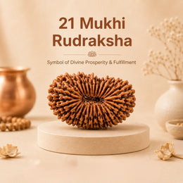21 Mukhi Rudraksha (Nepali)