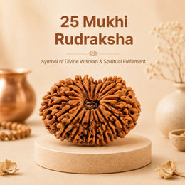 25 Mukhi Rudraksha (Nepali)