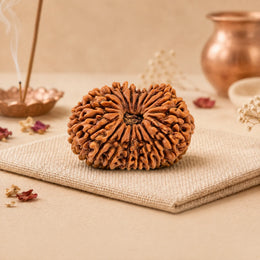 25 Mukhi Rudraksha (Nepali)