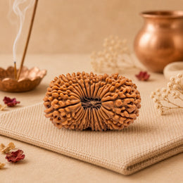 25 Mukhi Rudraksha (Nepali)