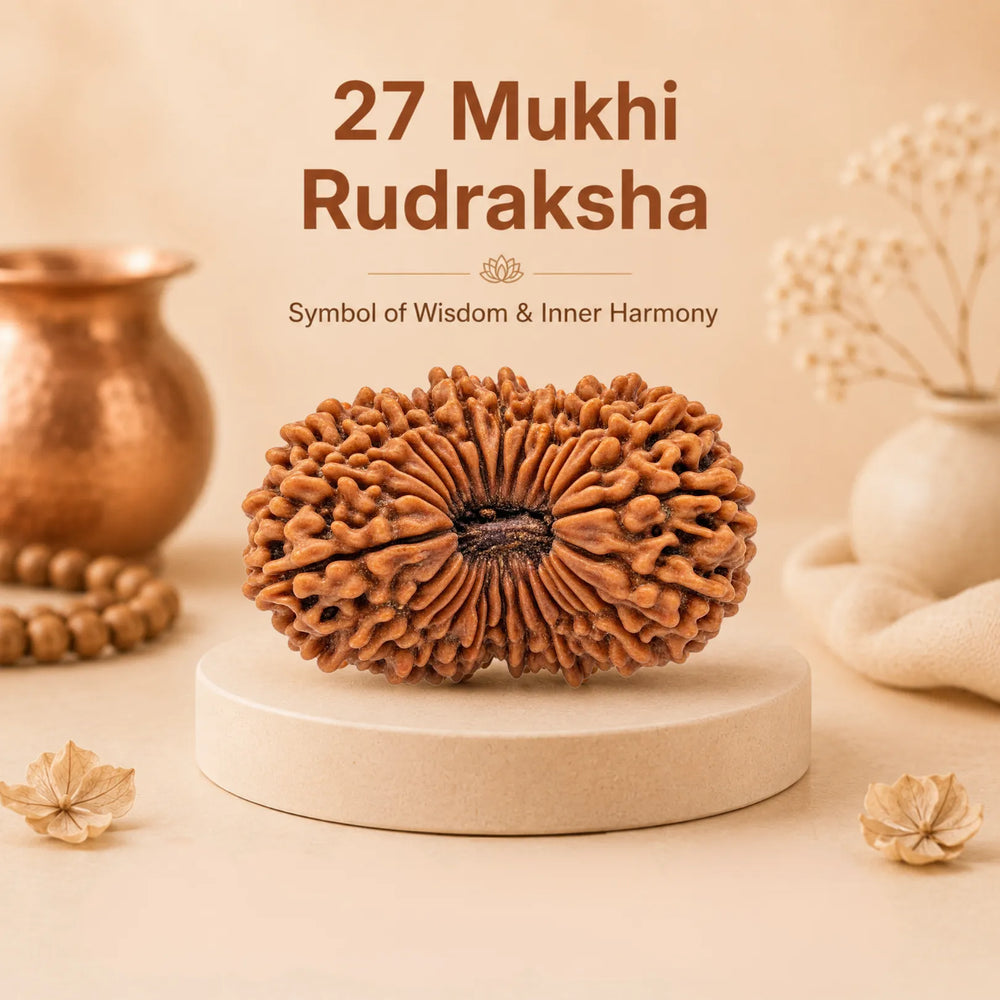 27 Mukhi Rudraksha