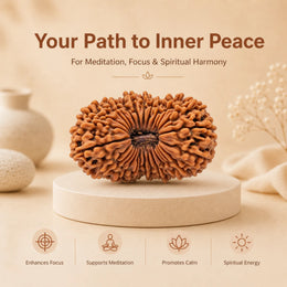 27 Mukhi Rudraksha (Nepali)