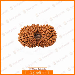 27 Mukhi Rudraksha (Nepali)