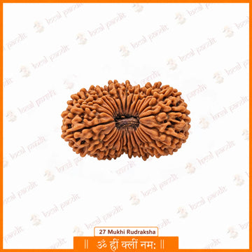 27 Mukhi Rudraksha