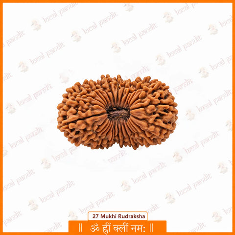 27 Mukhi Rudraksha (Nepali)