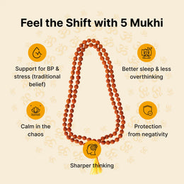 5 Mukhi Rudraksha