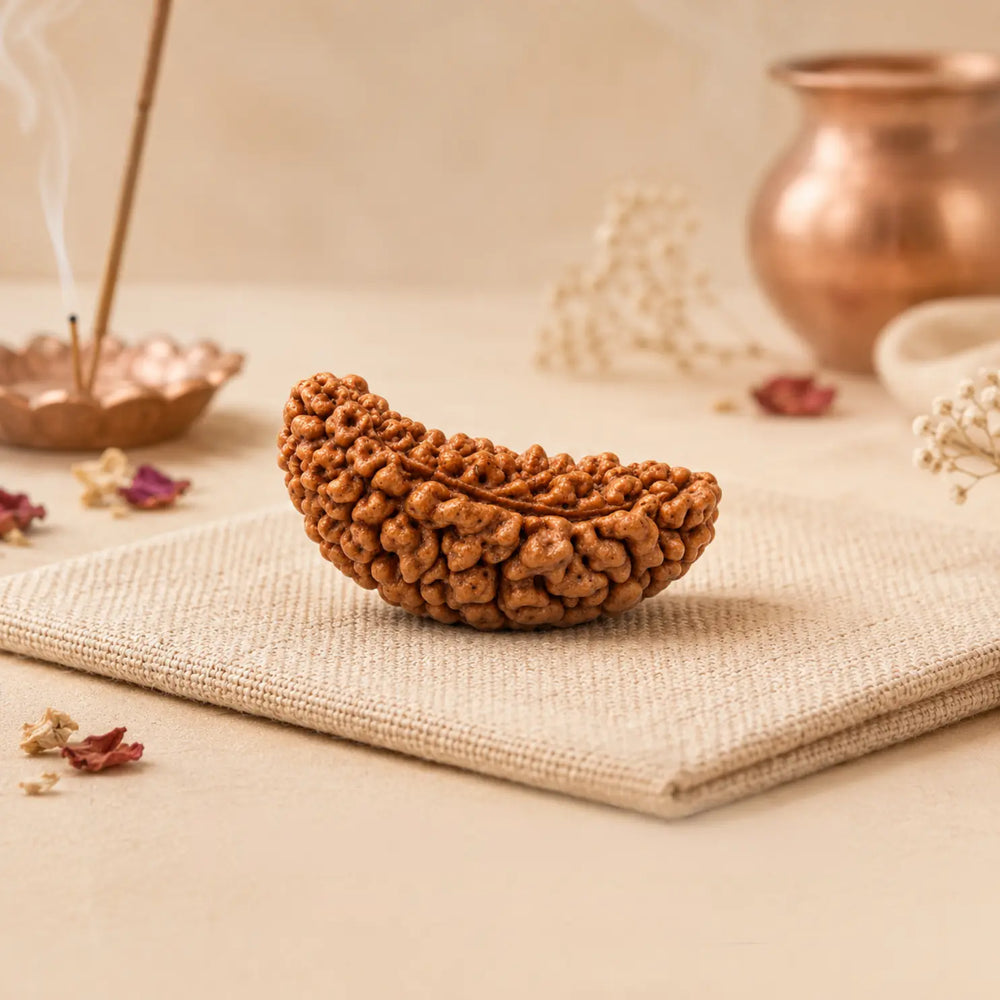 1 Mukhi Rudraksha