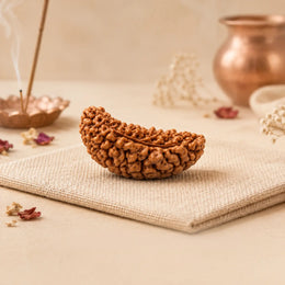 1 Mukhi Rudraksha (Nepali)