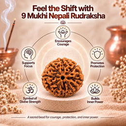9 Mukhi Rudraksha (Nepali)
