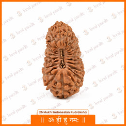 25 Mukhi Rudraksha (Indonesian)