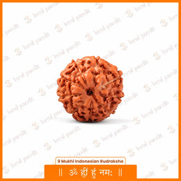 9 Mukhi Rudraksha (Indonesian)