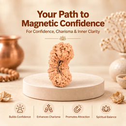 27 Mukhi Rudraksha (Indonesian)