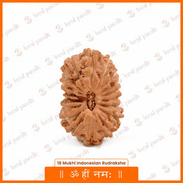 18 Mukhi Rudraksha (Indonesian)