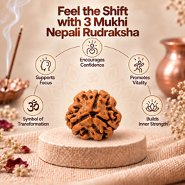 3 Mukhi Rudraksha (Nepali)