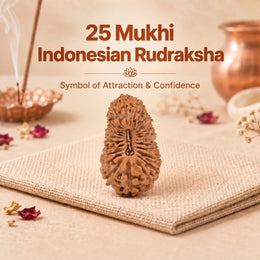 25 Mukhi Rudraksha (Indonesian)