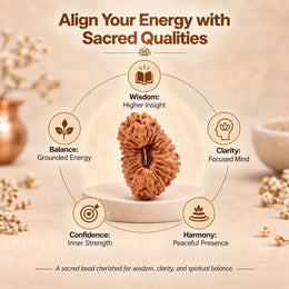 26 Mukhi Rudraksha (Indonesian)
