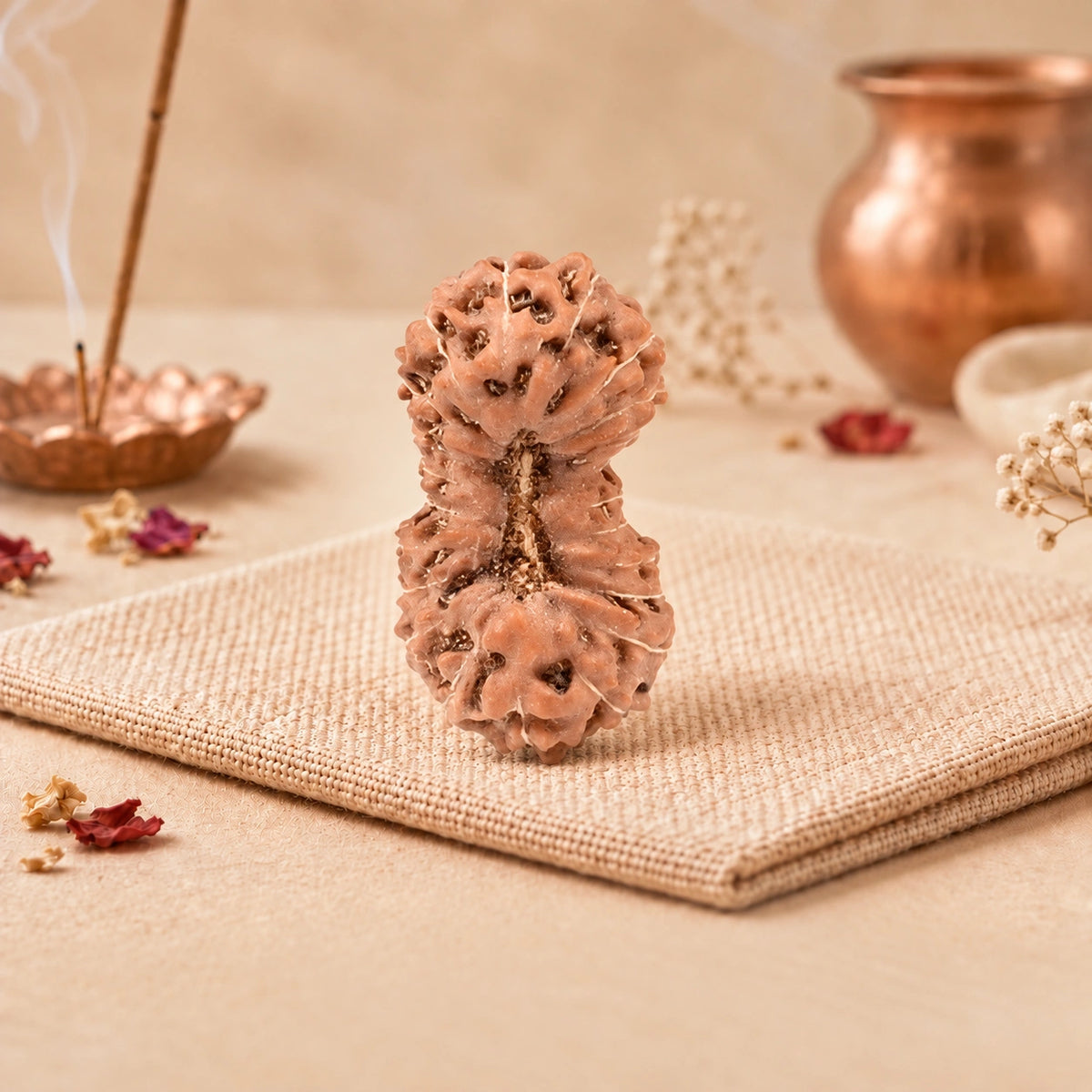 22 Mukhi Rudraksha (Indonesian)