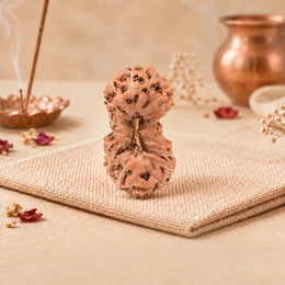 22 Mukhi Rudraksha (Indonesian)