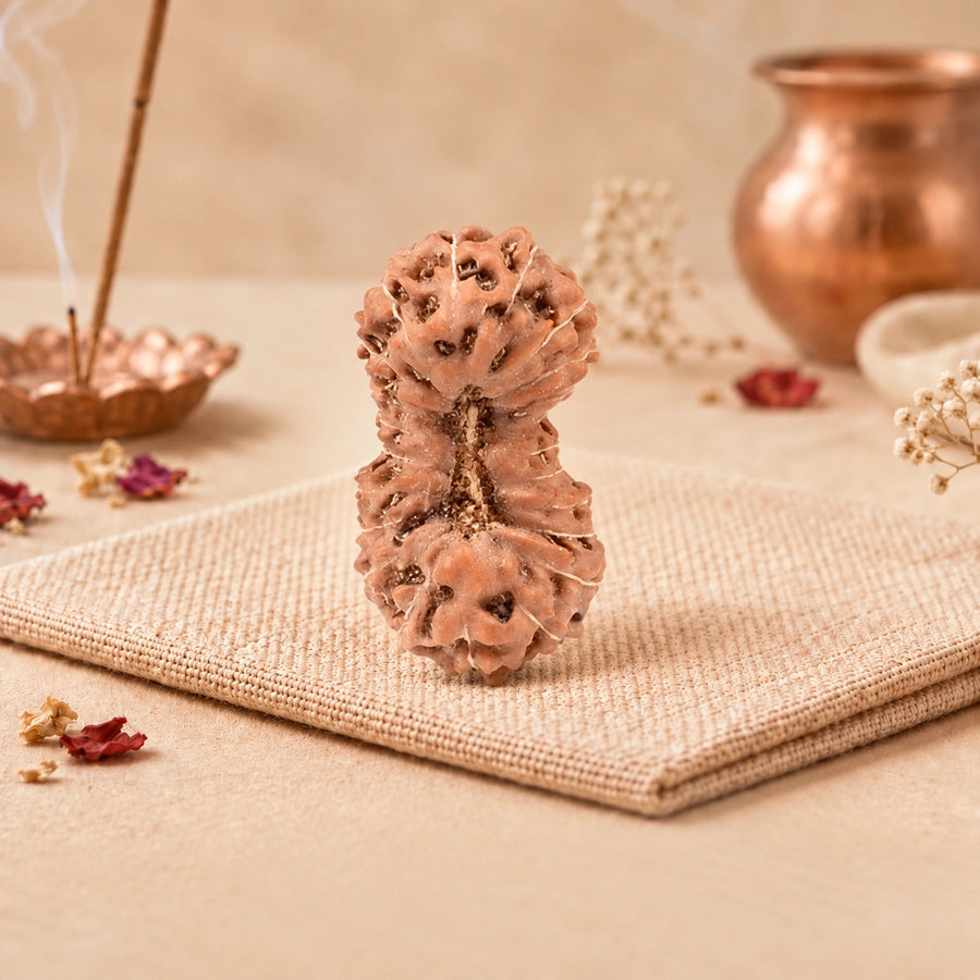 22 Mukhi Rudraksha (Indonesian)