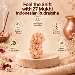 27 Mukhi Rudraksha (Indonesian)