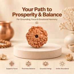 7 Mukhi Rudraksha (Indonesian)
