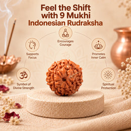 9 Mukhi Rudraksha (Indonesian)