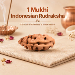 1 Mukhi Rudraksha (Indonesian)
