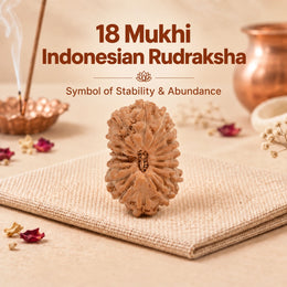 18 Mukhi Rudraksha (Indonesian)