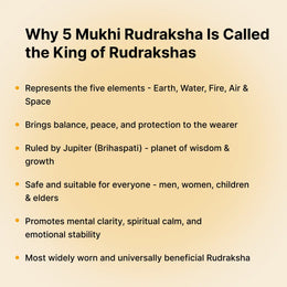 5 Mukhi Rudraksha