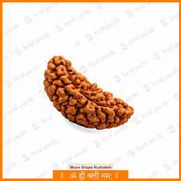 1 Mukhi Rudraksha (Nepali)