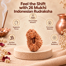 26 Mukhi Rudraksha (Indonesian)