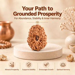 19 Mukhi Rudraksha (Indonesian)
