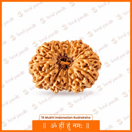 15 Mukhi Rudraksha (Indonesian)