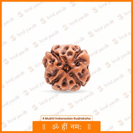 4 Mukhi Rudraksha (Indonesian)