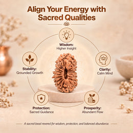 20 Mukhi Rudraksha (Indonesian)