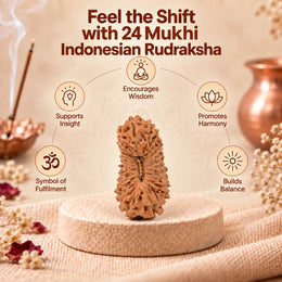 24 Mukhi Rudraksha (Indonesian)