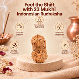 23 Mukhi Rudraksha (Indonesian)