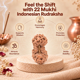 22 Mukhi Rudraksha (Indonesian)