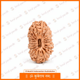 21 Mukhi Rudraksha (Indonesian)